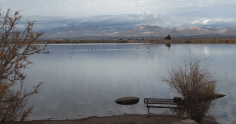 Roper Lake SP AZ featimg