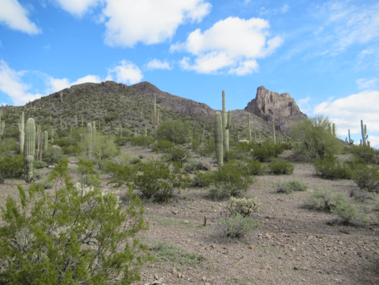 Picacho Peak SP AZ feat img