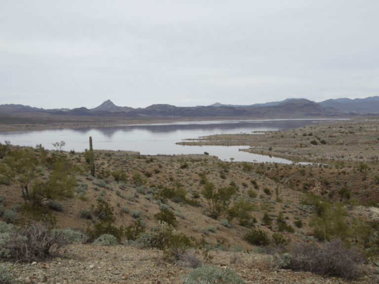 Alamo Lake SP AZ featimg