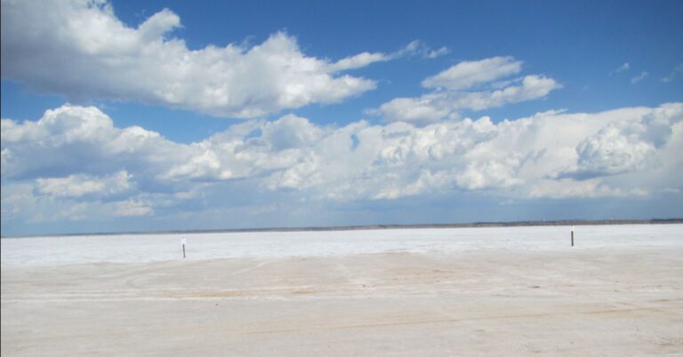 Salt Plains feat img