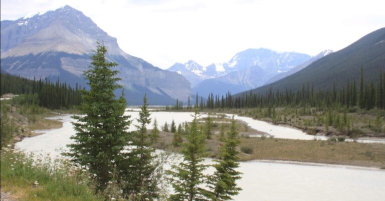 Icefields feat img